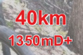 Sportif 40 km