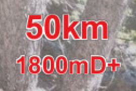 Expert 50 km